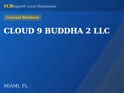 CLOUD 9 BUDDHA 2 LLC — General Business in MIAMI, FL