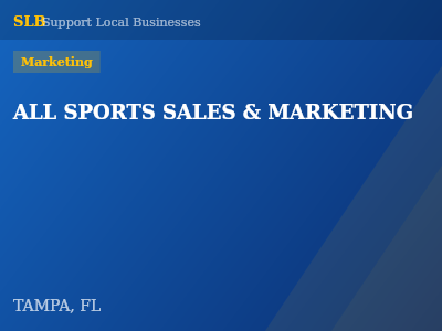 ALL SPORTS SALES & MARKETING — Marketing in TAMPA, FL