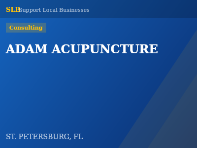 ADAM ACUPUNCTURE — Consulting in ST. PETERSBURG, FL