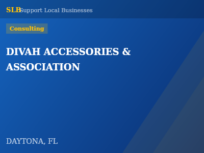 DIVAH ACCESSORIES & ASSOCIATION — Consulting in DAYTONA, FL