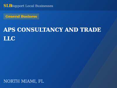 APS CONSULTANCY AND TRADE LLC — General Business in NORTH MIAMI, FL