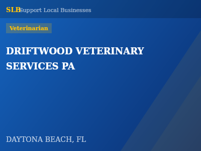 DRIFTWOOD VETERINARY SERVICES PA — Veterinarian in DAYTONA BEACH, FL