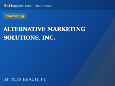 ALTERNATIVE MARKETING SOLUTIONS, INC. — Marketing in ST PETE BEACH, FL