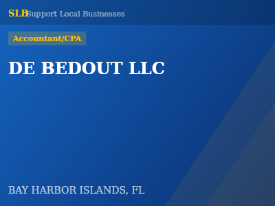 DE BEDOUT LLC — Accountant/CPA in BAY HARBOR ISLANDS, FL