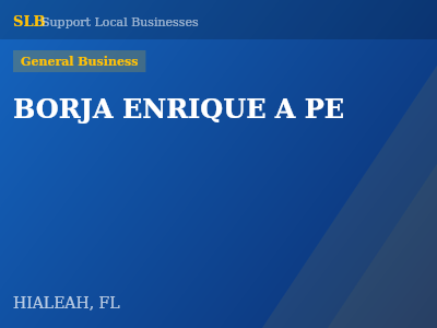 BORJA ENRIQUE A PE — General Business in HIALEAH, FL