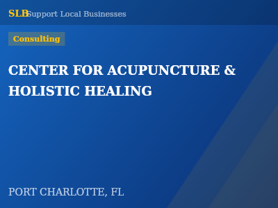 CENTER FOR ACUPUNCTURE & HOLISTIC HEALING — Consulting in PORT CHARLOTTE, FL