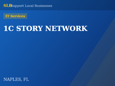 1C STORY NETWORK — IT Services in NAPLES, FL