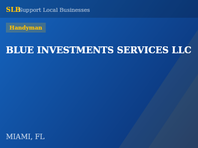 BLUE INVESTMENTS SERVICES LLC — Handyman in MIAMI, FL