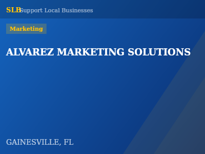 ALVAREZ MARKETING SOLUTIONS — Marketing in GAINESVILLE, FL