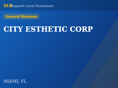 CITY ESTHETIC CORP — General Business in MIAMI, FL
