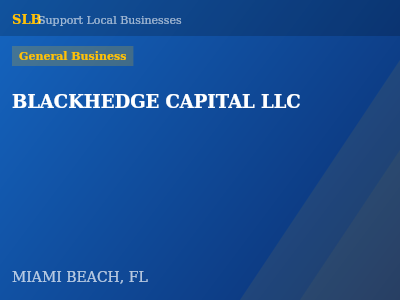 BLACKHEDGE CAPITAL LLC — General Business in MIAMI BEACH, FL