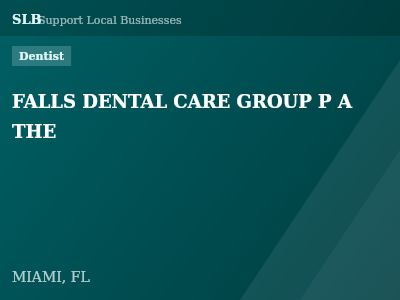 FALLS DENTAL CARE GROUP P A THE — Dentist in MIAMI, FL