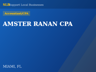 AMSTER RANAN CPA — Accountant/CPA in MIAMI, FL
