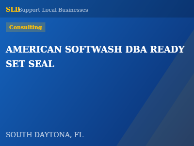 AMERICAN SOFTWASH DBA READY SET SEAL — Consulting in SOUTH DAYTONA, FL