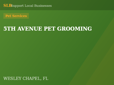 5TH AVENUE PET GROOMING — Pet Services in WESLEY CHAPEL, FL