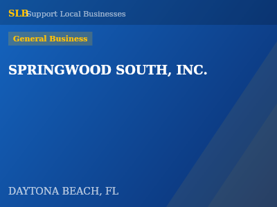 SPRINGWOOD SOUTH, INC. — General Business in DAYTONA BEACH, FL