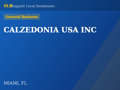 CALZEDONIA USA INC — General Business in MIAMI, FL