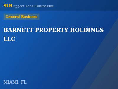 BARNETT PROPERTY HOLDINGS LLC — General Business in MIAMI, FL