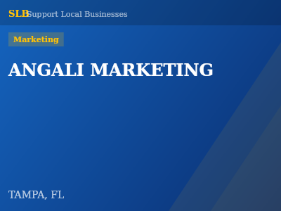 ANGALI MARKETING — Marketing in TAMPA, FL