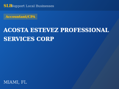 ACOSTA ESTEVEZ PROFESSIONAL SERVICES CORP — Accountant/CPA in MIAMI, FL