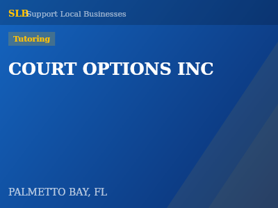 COURT OPTIONS INC — Tutoring in PALMETTO BAY, FL