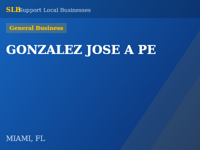 GONZALEZ JOSE A PE — General Business in MIAMI, FL