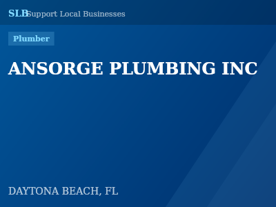 ANSORGE PLUMBING INC — Plumber in DAYTONA BEACH, FL