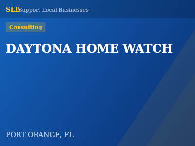DAYTONA HOME WATCH — Consulting in PORT ORANGE, FL