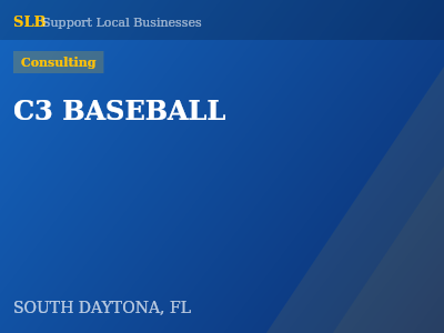 C3 BASEBALL — Consulting in SOUTH DAYTONA, FL