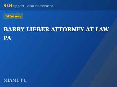 BARRY LIEBER ATTORNEY AT LAW PA — Attorney in MIAMI, FL