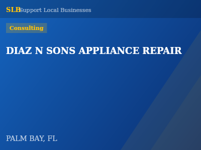 DIAZ N SONS APPLIANCE REPAIR — Consulting in PALM BAY, FL