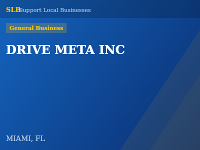 DRIVE META INC — General Business in MIAMI, FL