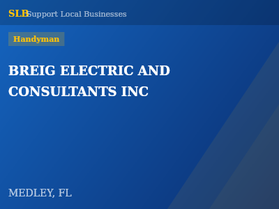 BREIG ELECTRIC AND CONSULTANTS INC — Handyman in MEDLEY, FL