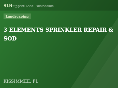 3 ELEMENTS SPRINKLER REPAIR & SOD — Landscaping in KISSIMMEE, FL