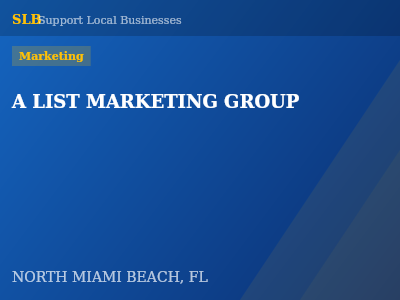 A LIST MARKETING GROUP — Marketing in NORTH MIAMI BEACH, FL