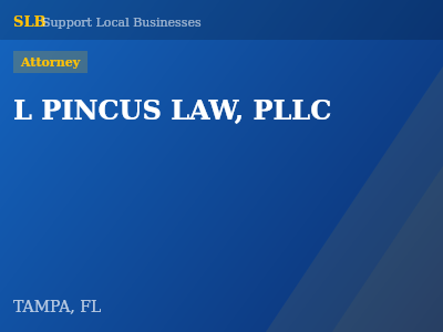 L PINCUS LAW, PLLC — Attorney in TAMPA, FL