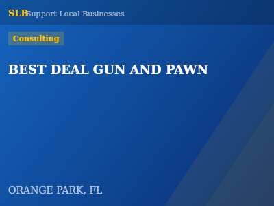 BEST DEAL GUN AND PAWN — Consulting in ORANGE PARK, FL