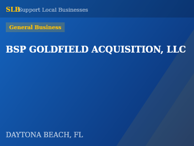 BSP GOLDFIELD ACQUISITION, LLC — General Business in DAYTONA BEACH, FL