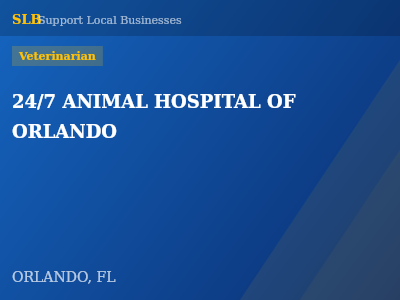 24/7 ANIMAL HOSPITAL OF ORLANDO — Veterinarian in ORLANDO, FL