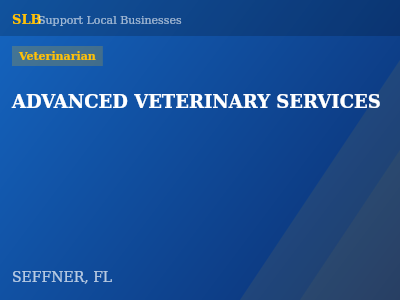 ADVANCED VETERINARY SERVICES — Veterinarian in SEFFNER, FL