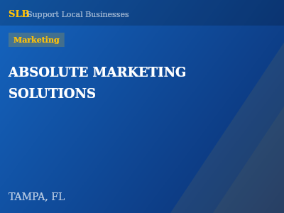 ABSOLUTE MARKETING SOLUTIONS — Marketing in TAMPA, FL