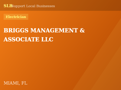 BRIGGS MANAGEMENT & ASSOCIATE LLC — Electrician in MIAMI, FL