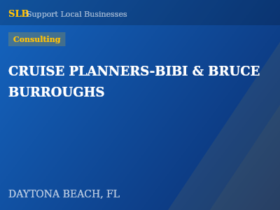 CRUISE PLANNERS-BIBI & BRUCE BURROUGHS — Consulting in DAYTONA BEACH, FL
