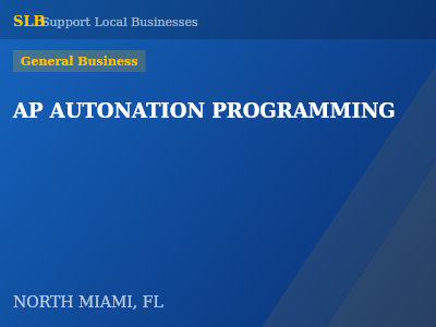 AP AUTONATION PROGRAMMING — General Business in NORTH MIAMI, FL