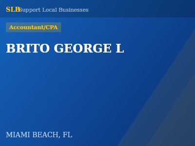 BRITO GEORGE L — Accountant/CPA in MIAMI BEACH, FL
