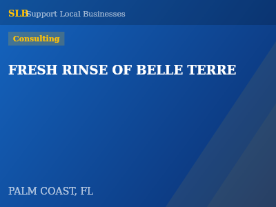 FRESH RINSE OF BELLE TERRE — Consulting in PALM COAST, FL