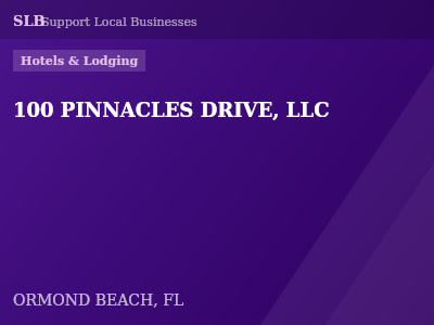 100 PINNACLES DRIVE, LLC — Hotels & Lodging in ORMOND BEACH, FL