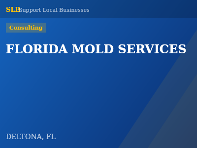 FLORIDA MOLD SERVICES — Consulting in DELTONA, FL