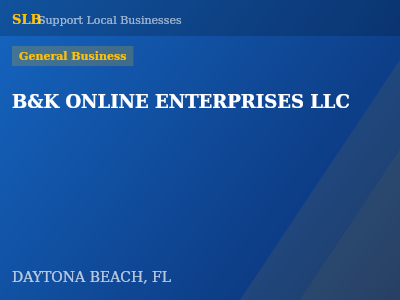 B&K ONLINE ENTERPRISES LLC — General Business in DAYTONA BEACH, FL