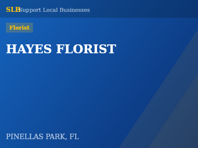 HAYES FLORIST — Florist in PINELLAS PARK, FL